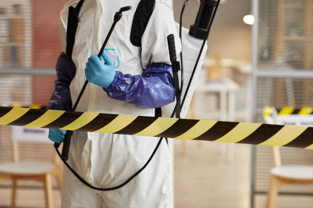 Professional Hoarding Cleanup technician working in Plainview, NY